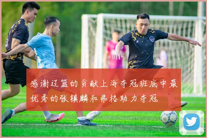 感谢辽篮的贡献上海夺冠班底中最优秀的张镇麟和弗格助力夺冠